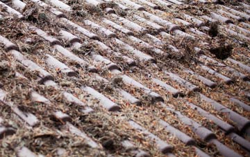 Kirkney roof cleaning companies